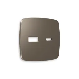 Лицевая панель для розетки 2USB тип A+C Ambrella Volt Omega OP6410