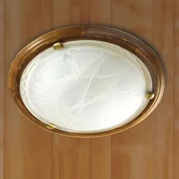 Потолочный светильник Sonex Lufe Wood 336