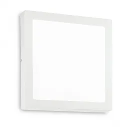 Настенно-потолочный светодиодный светильник Ideal Lux Universal D60 Square