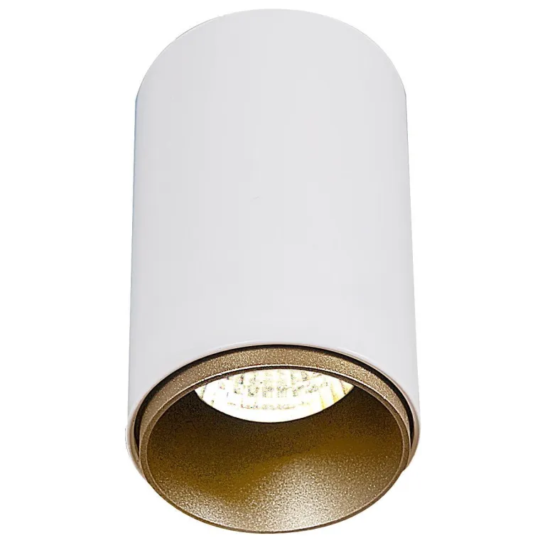 Точечный светильник Reluce 16206-9.5-001RTB MR16 WT+SGD в Нижнем Новгороде