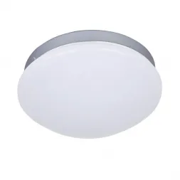 Потолочный светодиодный светильник F-Promo Ledante 2467-1C