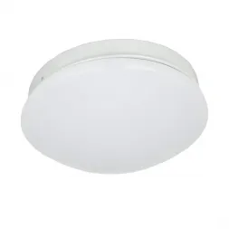 Потолочный светодиодный светильник F-Promo Ledante 2469-1C