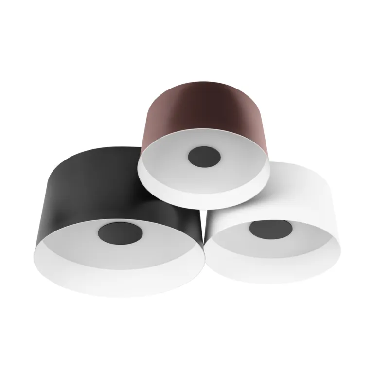Потолочный светильник Loft IT Duo 10360/3 в Нижнем Новгороде