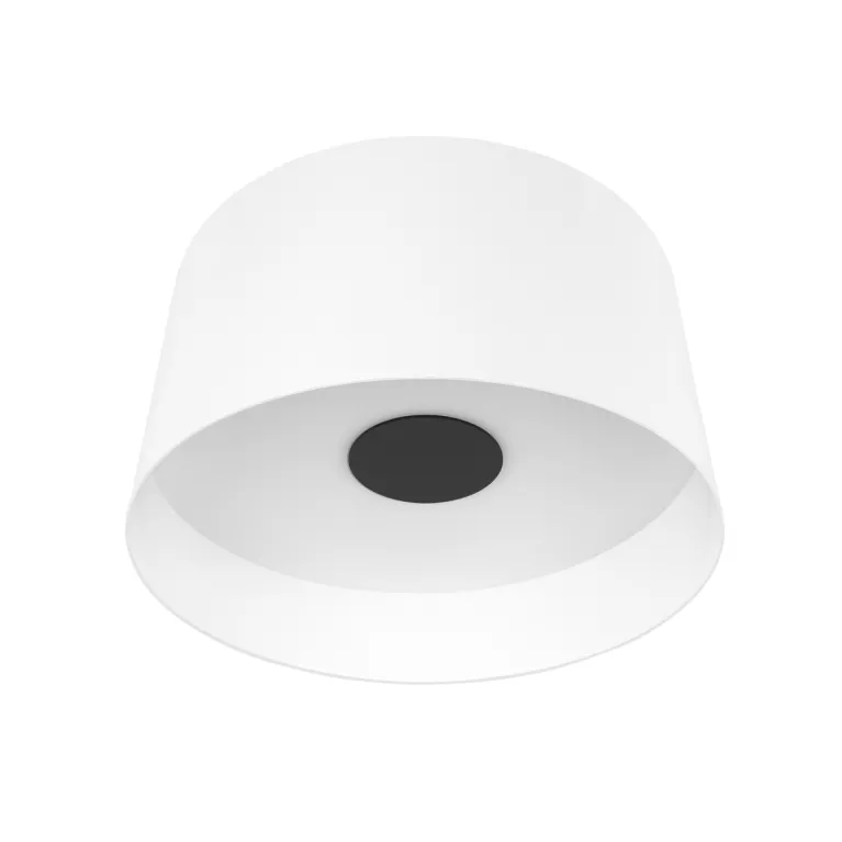 Потолочный светильник Loft IT Duo 10360L White в Нижнем Новгороде