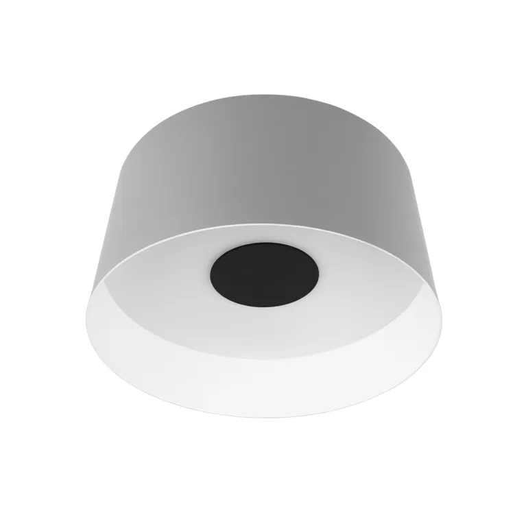 Потолочный светильник Loft IT Duo 10360M Grey в Нижнем Новгороде