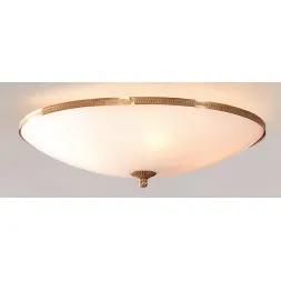 Потолочный светильник Citilux Белый CL912500