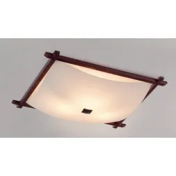 Потолочный светильник Citilux Белый Рамка CL931112