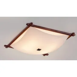 Потолочный светильник Citilux Белый Рамка CL932112