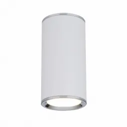 Потолочный светильник Elektrostandard DLN101 GU10 WH белый 4690389135859