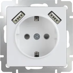 Розетка с заземлением, шторками и USBx2 белая WL01-SKGS-USBx2-IP20 4690389073199