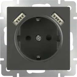 Розетка с заземлением, шторками и USBx2 серо-коричневая WL07-SKGS-USBx2-IP20 4690389073229