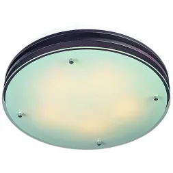 Потолочный светильник Omnilux OML-40307-05