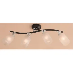 Спот Citilux Фортуна CL156141