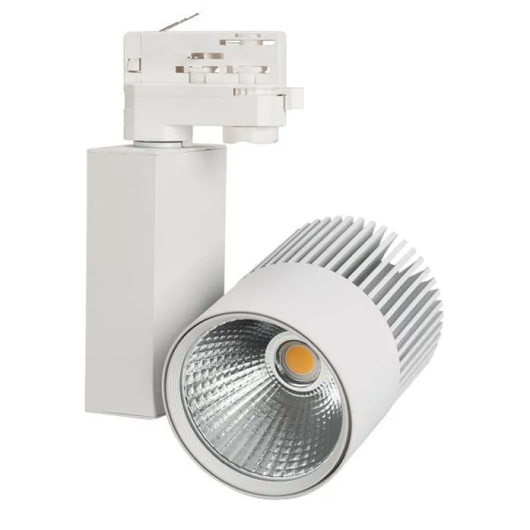 Трековый светодиодный светильник Arlight LGD-Ares-4TR-R100-40W Day4000 036100 в Нижнем Новгороде