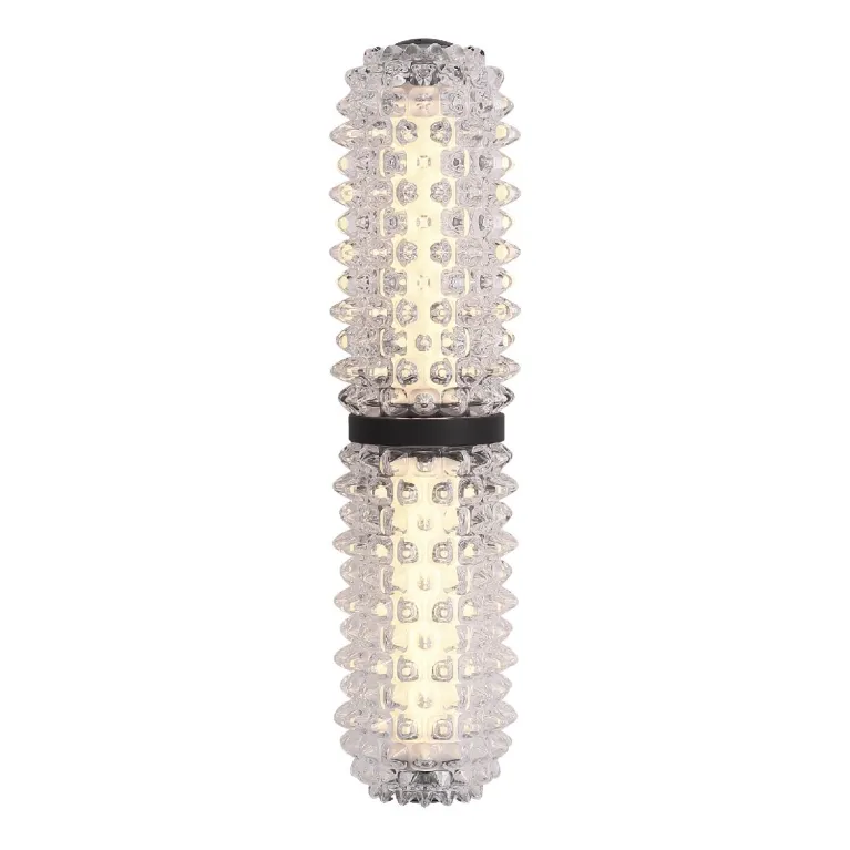 Настенный светильник ST Luce Saguaro SL6144.401.01 в Нижнем Новгороде