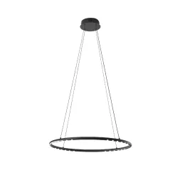 Подвесная люстра Kink Light Магни 08557-60,19