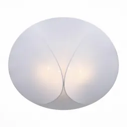 Накладной светильник ST Luce Tonico SL360.552.04