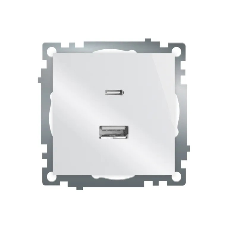 Розетка 2-местная USB + type C Stekker Катрин GLS10-7116-01 50051 в Нижнем Новгороде