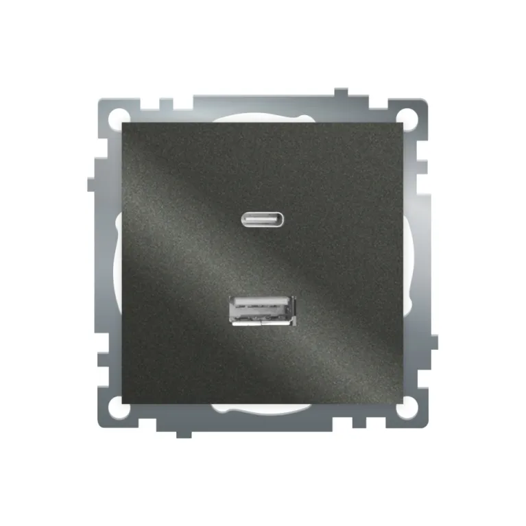 Розетка 2-местная USB + type C Stekker Катрин GLS10-7116-06 50052 в Нижнем Новгороде