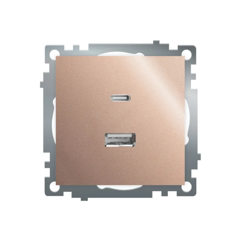 Розетка 2-местная USB + type C Stekker Катрин GLS10-7116-02 50056 в Нижнем Новгороде