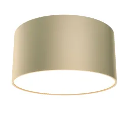 Потолочный светильник Maytoni Technical Ceiling&Wall Zon C032CL-12W3K-RD-MG