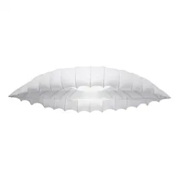Потолочный светильник Arte Lamp Botticelli A2188PL-2CC