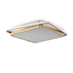 Потолочный светодиодный светильник Freya Yaku FR10026CL-L93G
