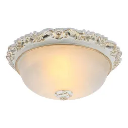 Потолочный светильник Arte Lamp Torta A7151PL-2WG