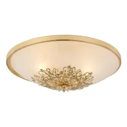 Потолочный светильник Arte Lamp Collinetta A9116PL-2GO