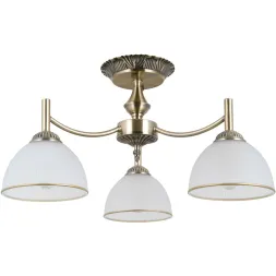 Потолочная люстра MW-Light Олимп 8 318015503