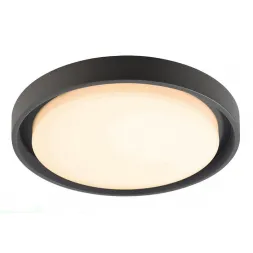 Уличный настенный светильник Deko-Light Ascella 348069
