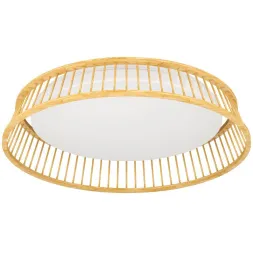 Потолочный светильник Eglo Luppineria 900797