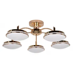 Потолочная светодиодная люстра F-Promo Ledante 2473-5P