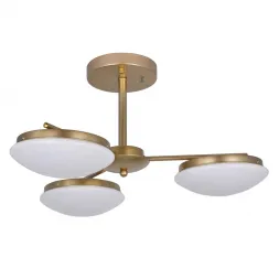 Потолочная светодиодная люстра F-Promo Ledante 2476-3P