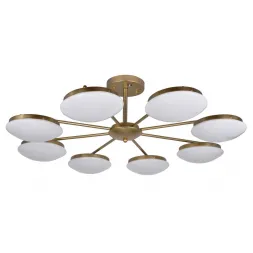 Потолочная светодиодная люстра F-Promo Ledante 2476-8P