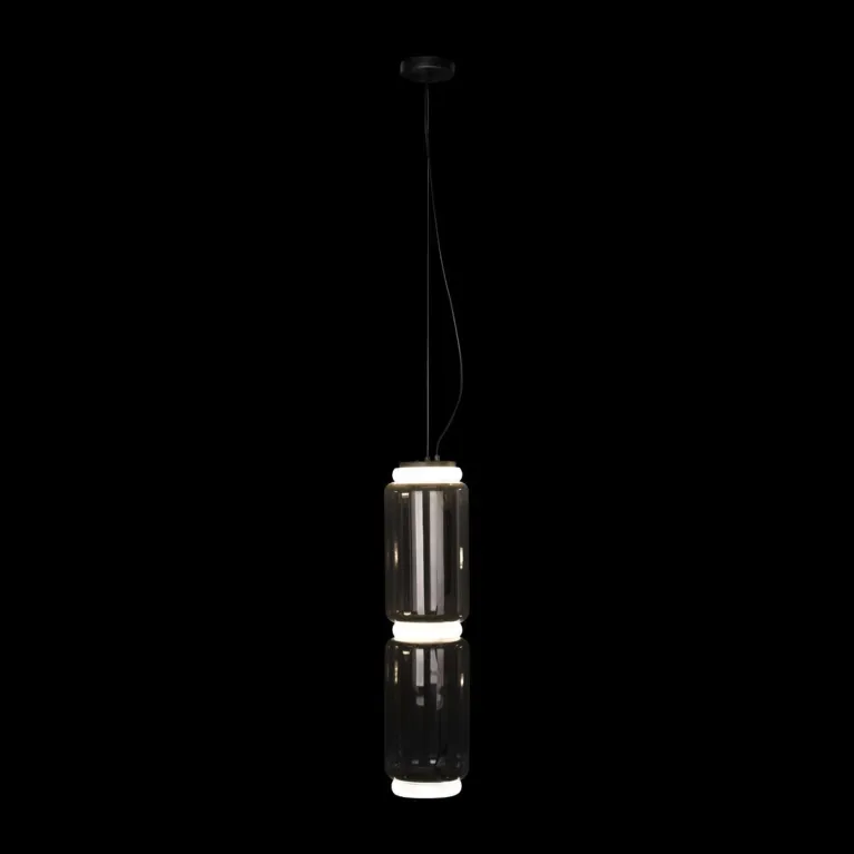 Подвесной светодиодный светильник Loft IT Noctambule 10194/M в Нижнем Новгороде