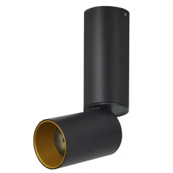 Светодиодный спот Lumien Hall Торин 8001/1CS-BK-GD