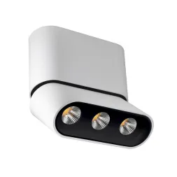 Светодиодный спот Lumien Hall Фергус 8005/3CS-WT-BK