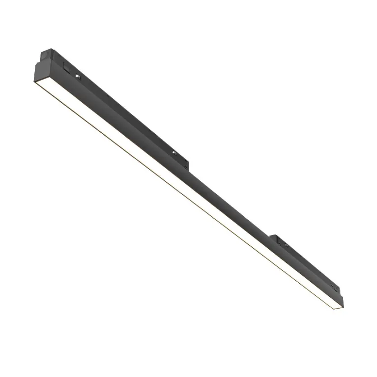 Трековый магнитный светильник Maytoni Basis TR030-2-30W3K-B в Нижнем Новгороде