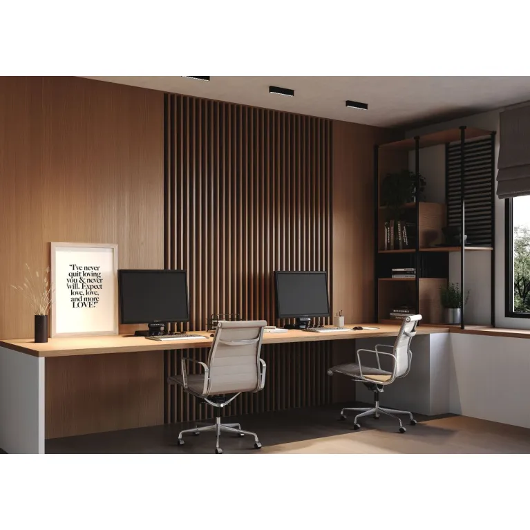 Потолочный светильник Maytoni Technical Points C066CL-12W3-6K-B в Нижнем Новгороде