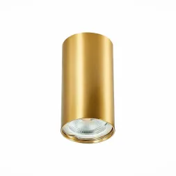 Потолочный светильник ST Luce ST110.207.01