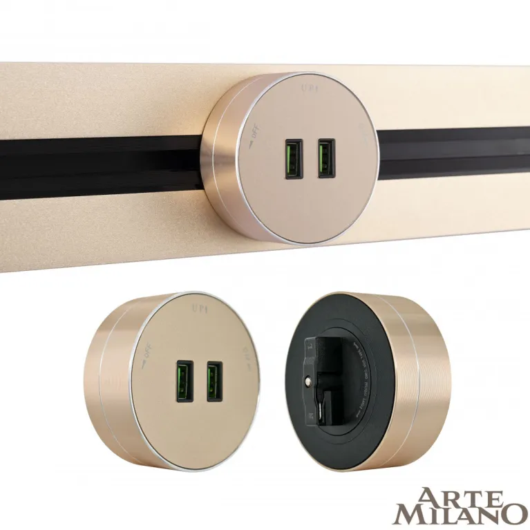Трековая розетка Arte Milano Am-track-sockets 380011TS/USBx2 Gold в Нижнем Новгороде
