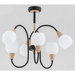 Потолочная люстра Alfa Arno 26226
