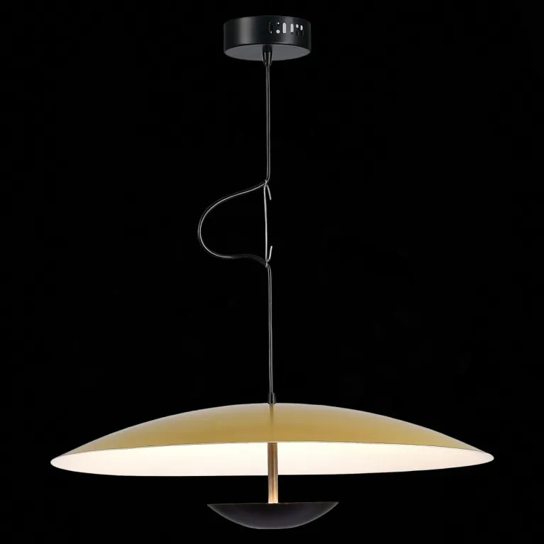 Подвесной светодиодный светильник ST Luce ARMONICO SL6502.213.01 в Нижнем Новгороде