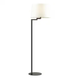 Торшер Odeon Light Edwin 4102/1F