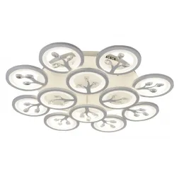 Потолочная светодиодная люстра F-Promo Ramus 2390-12U