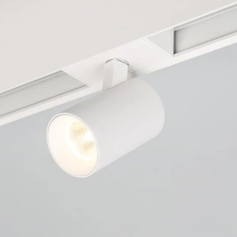 Трековый светодиодный светильник Arlight Mag-Spot-45-R85-12W Day4000 033425 в Нижнем Новгороде