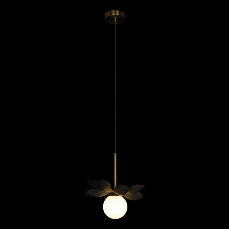 Подвесной светильник Loft IT Monro 10213/B Black в Нижнем Новгороде