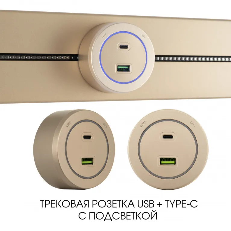 Трековая розетка Arte Milano Am-track-sockets-39 399731TS/USB-Type-C Gold в Нижнем Новгороде