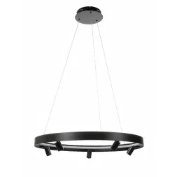 Подвесная люстра Myfar James MR2201-1PL